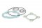 Gasket kit Malossi Ø 47 pin Ø 12 H2O