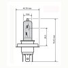 Bulb RMS 246510181 FLOSSER plavi hs1 12V 35/35W