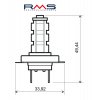 Bulb RMS 246510610 12V 14 Led, H7 plavi