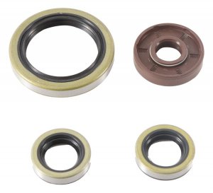 Engine Oil Seal Kit WINDEROSA