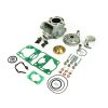 Cylinder kit ATHENA P400485100077 Big bore d 53mm, 105,46 cc /wutg exgazst valve kit and modular head)