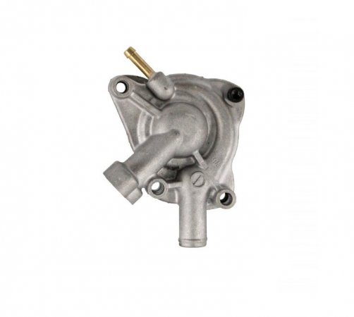 Complete water pump RMS 100110680