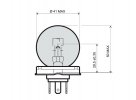 Lamp RMS 246510101 P45T 12V 45/40W